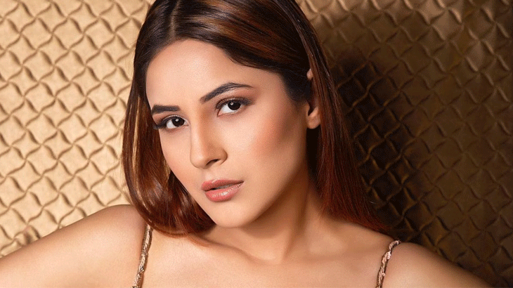 Shehnaaz Gill turns 32: From suicidal thoughts to Bollywood stardom