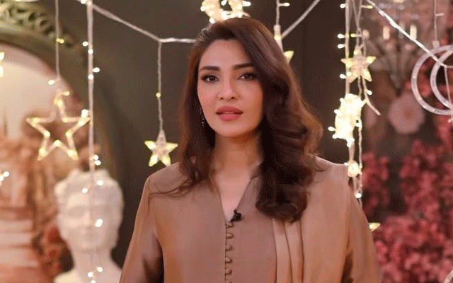 Zhalay Sarhadi dazzles in elegant brown ensemble