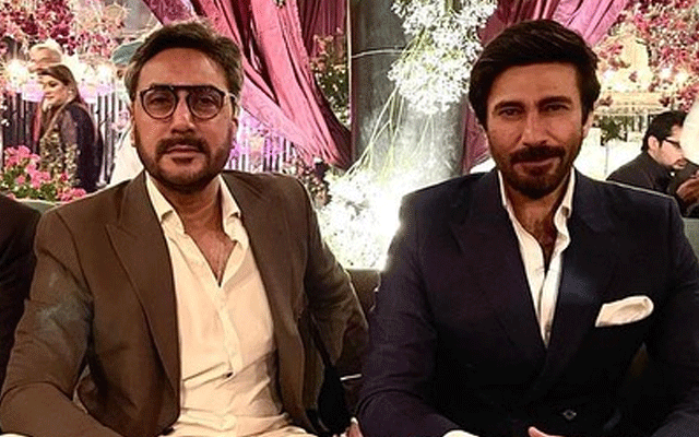 Aijaz Aslam’s shocking story sparks backlash against Adnan Siddiqui